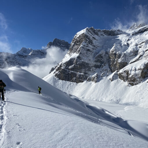 Geführte Schneeschuhtouren mit WANDER-PLAUSCH