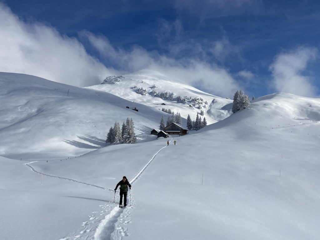 Schneeschuh-Wandern mit Wander-Plausch