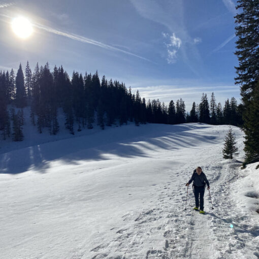 Geführte Schneeschuhtouren am Glaubenberg, Kleine Gruppe; Beobachtung von Wildtierspuren