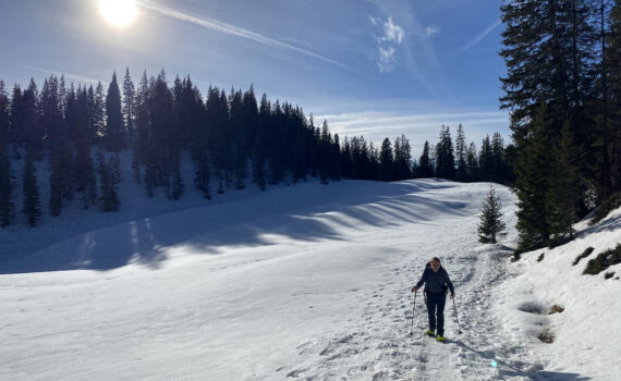 Geführte Schneeschuhtouren am Glaubenberg, Kleine Gruppe; Beobachtung von Wildtierspuren