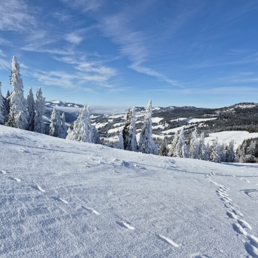 schneeschuhtour gantrisch